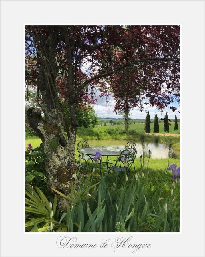 Отель Domaine De Hongrie Ногаро Экстерьер фото